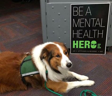 mental health dogs for anxiety.